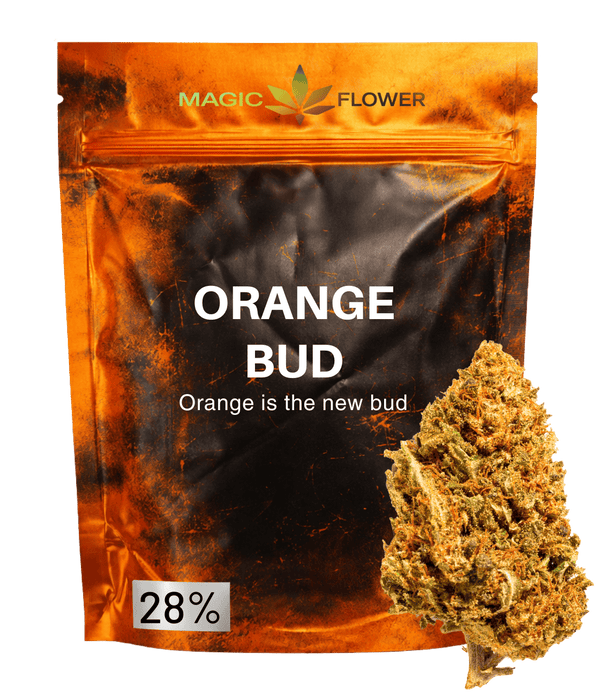 Orange Bud 🍊🍊🍊