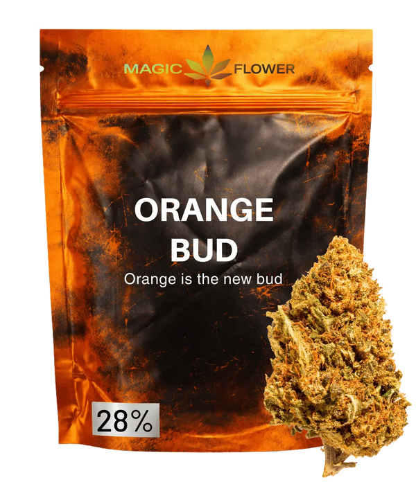 Orange Bud đđđ