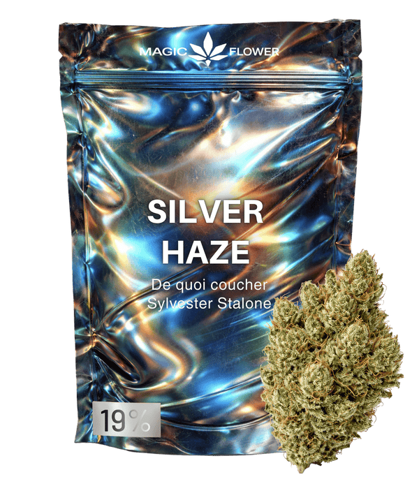Super Silver Haze ⛓️⛓️⛓️