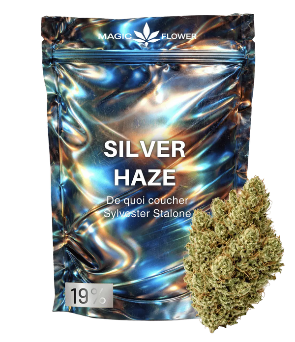 Super Silver Haze âïžâïžâïž