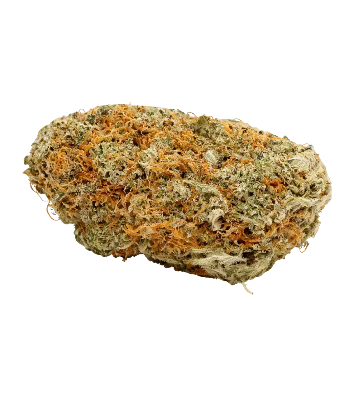 Girl Scout