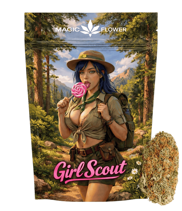 Girl Scout 🍭 🍭 🍭