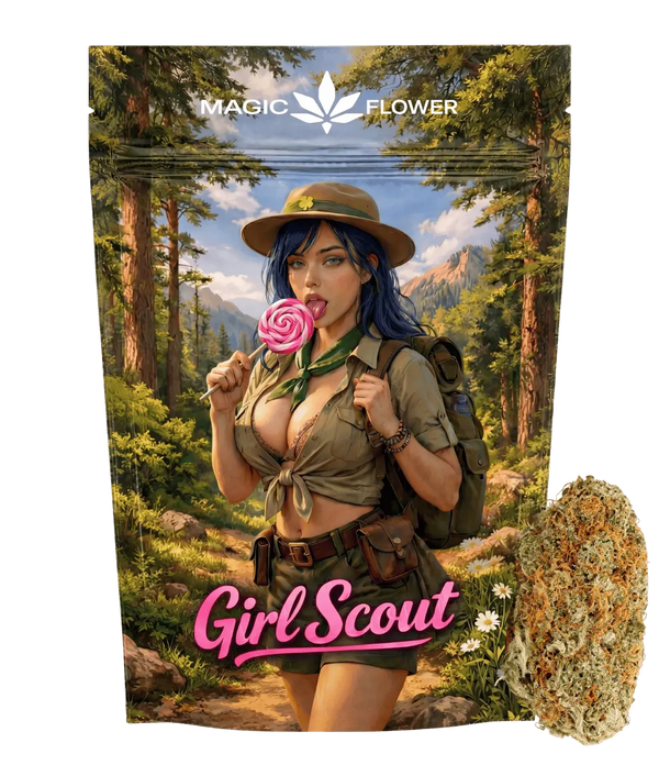 Girl Scout đ đ đ
