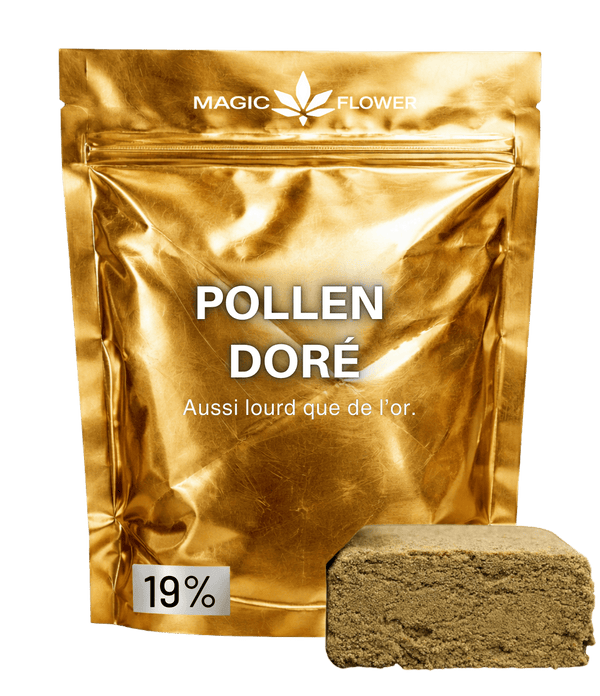 Pollen Doré 🍯 🍯 🍯