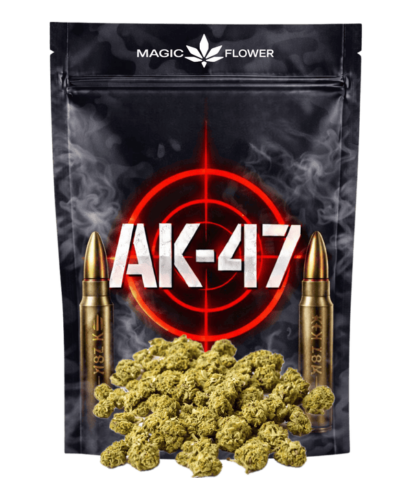 AK-47 🔫 🔫 🔫