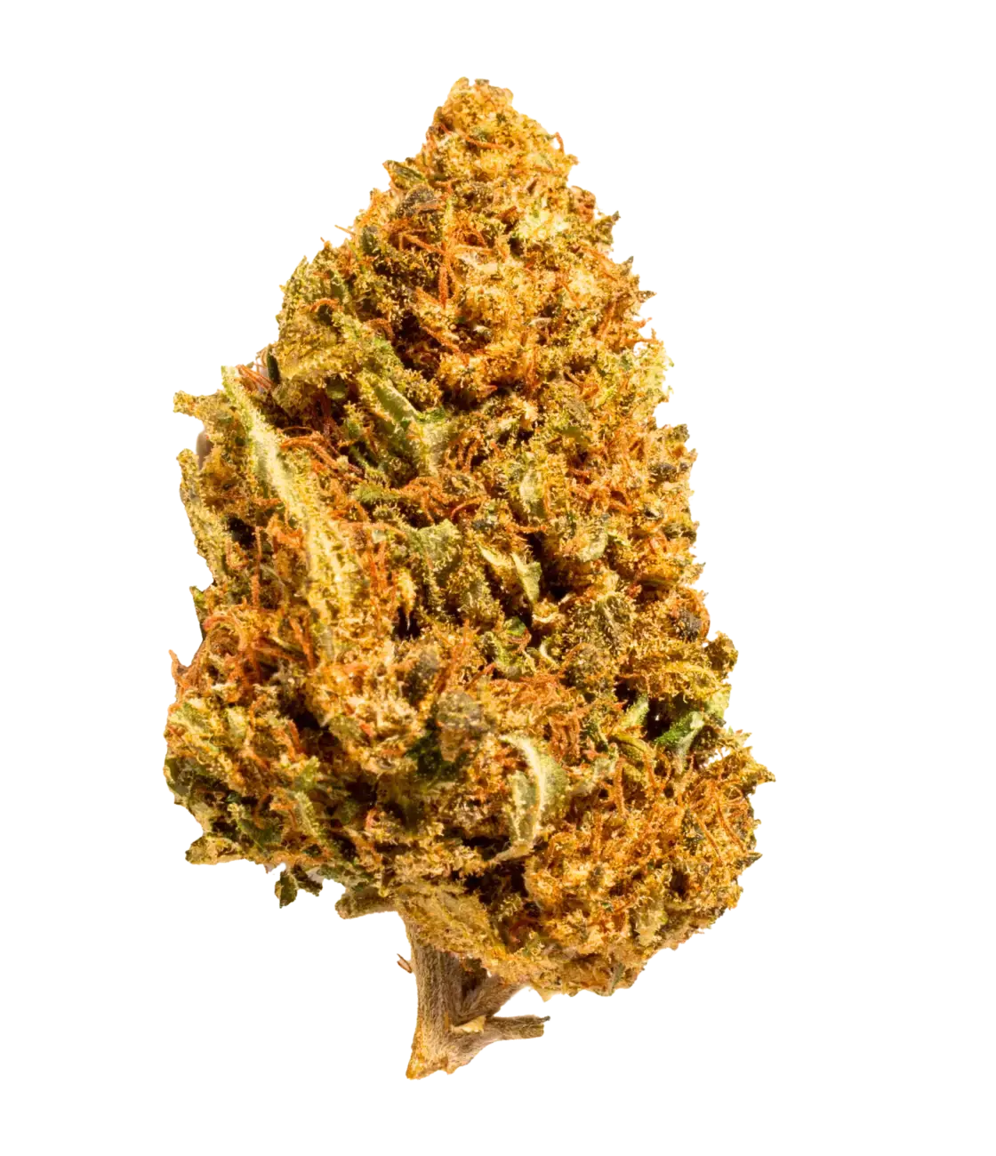 Pack Classique đŒ đž đș MAGIC FLOWER