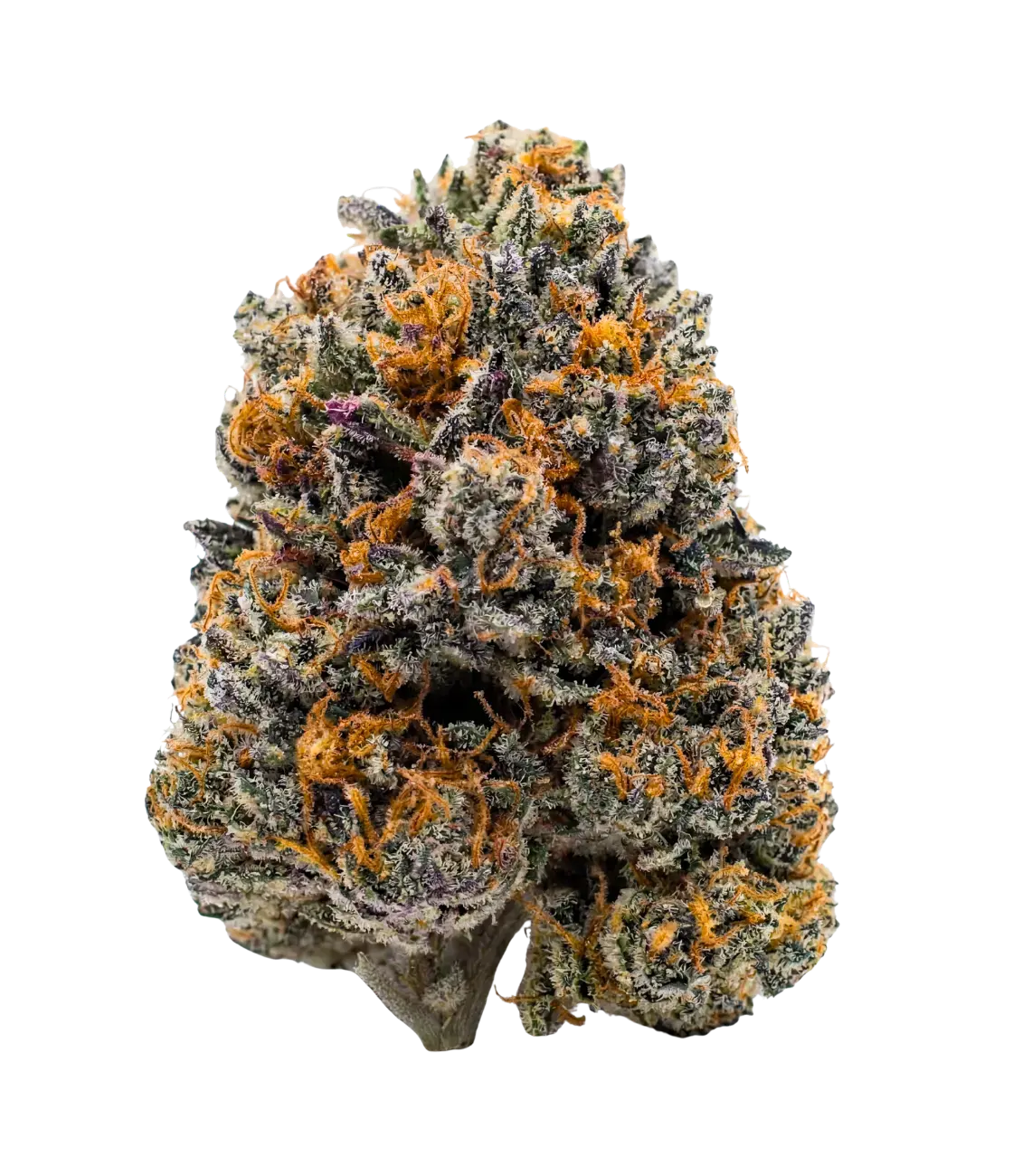 Amnesia CBX ⥠⥠âĄÂ MAGIC FLOWER