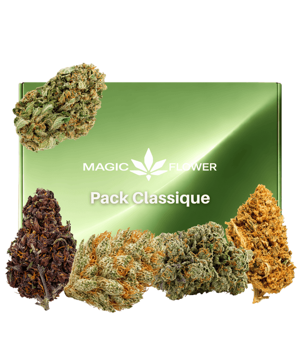 Pack Classique 🌼 🌸 🌺