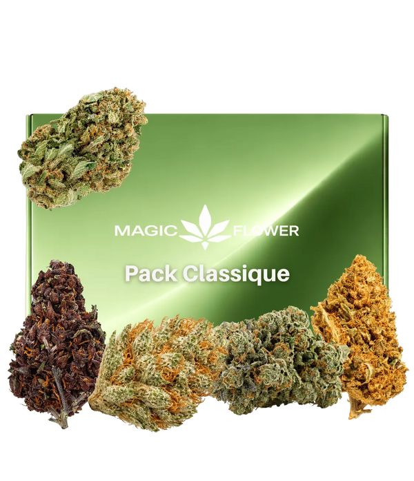 Pack Classique đŒ đž đș