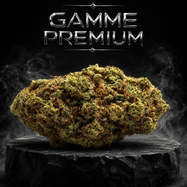 California Haze 🔫 🔫 🔫