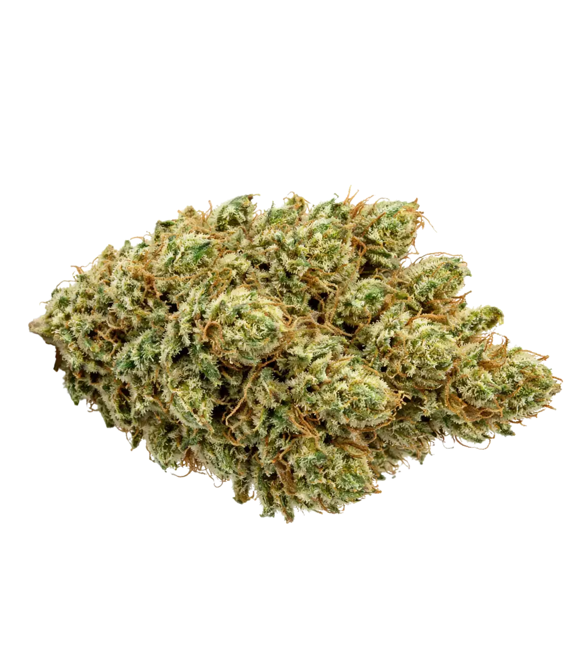 Pack Californien 🌆 🌆 🌆 MAGIC FLOWER