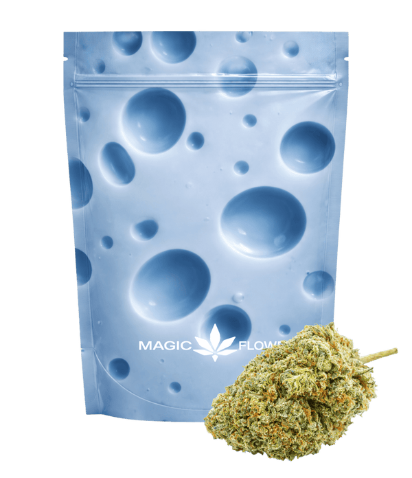 Blue Cheese 💙 💙 💙