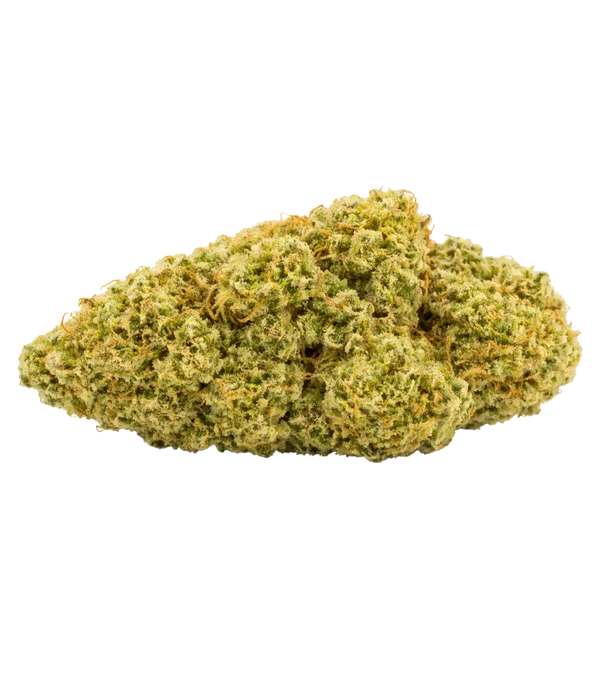 Gorilla Glue đ§ą đ§ą đ§ą
