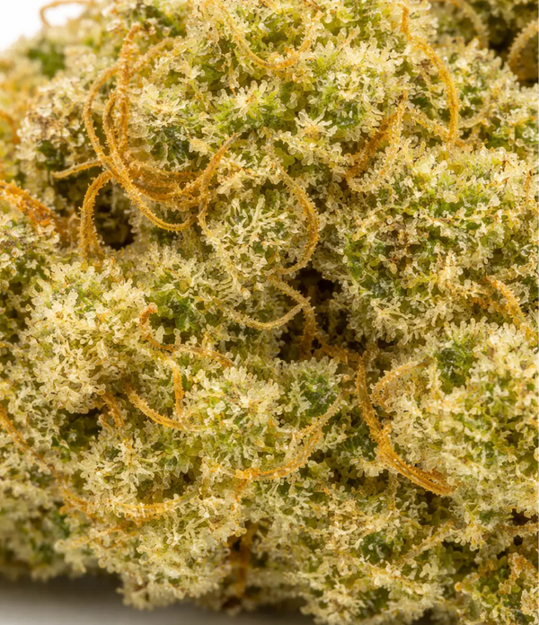 Gorilla Glue 🧢 🧢 🧢