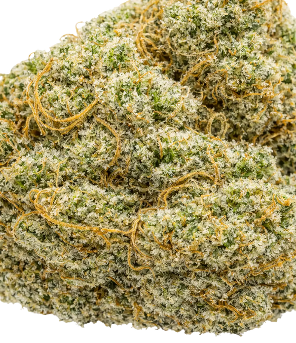 Fruit Cake 🍰 🍰 🍰