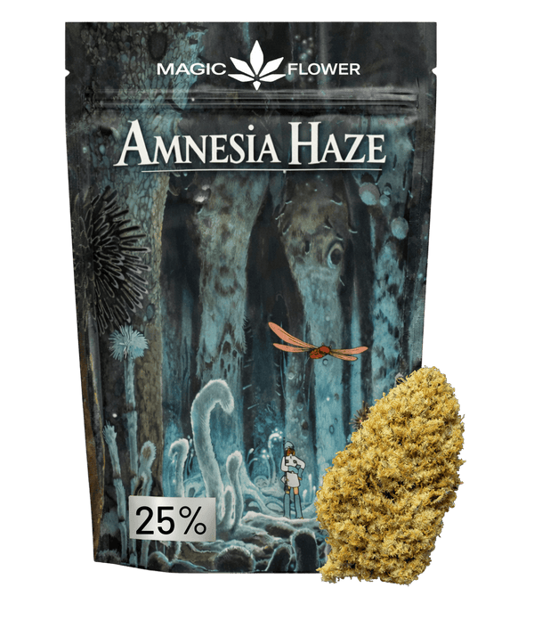 Amnesia Haze ✨ ✨ ✨
