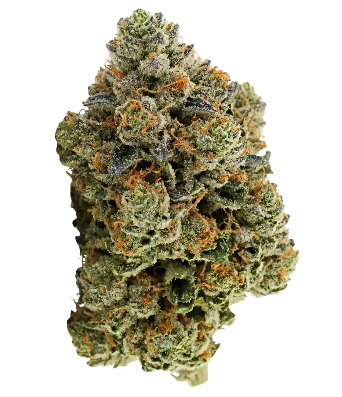 Gorilla Runtz đŠ đŠ đŠÂ MAGIC FLOWER