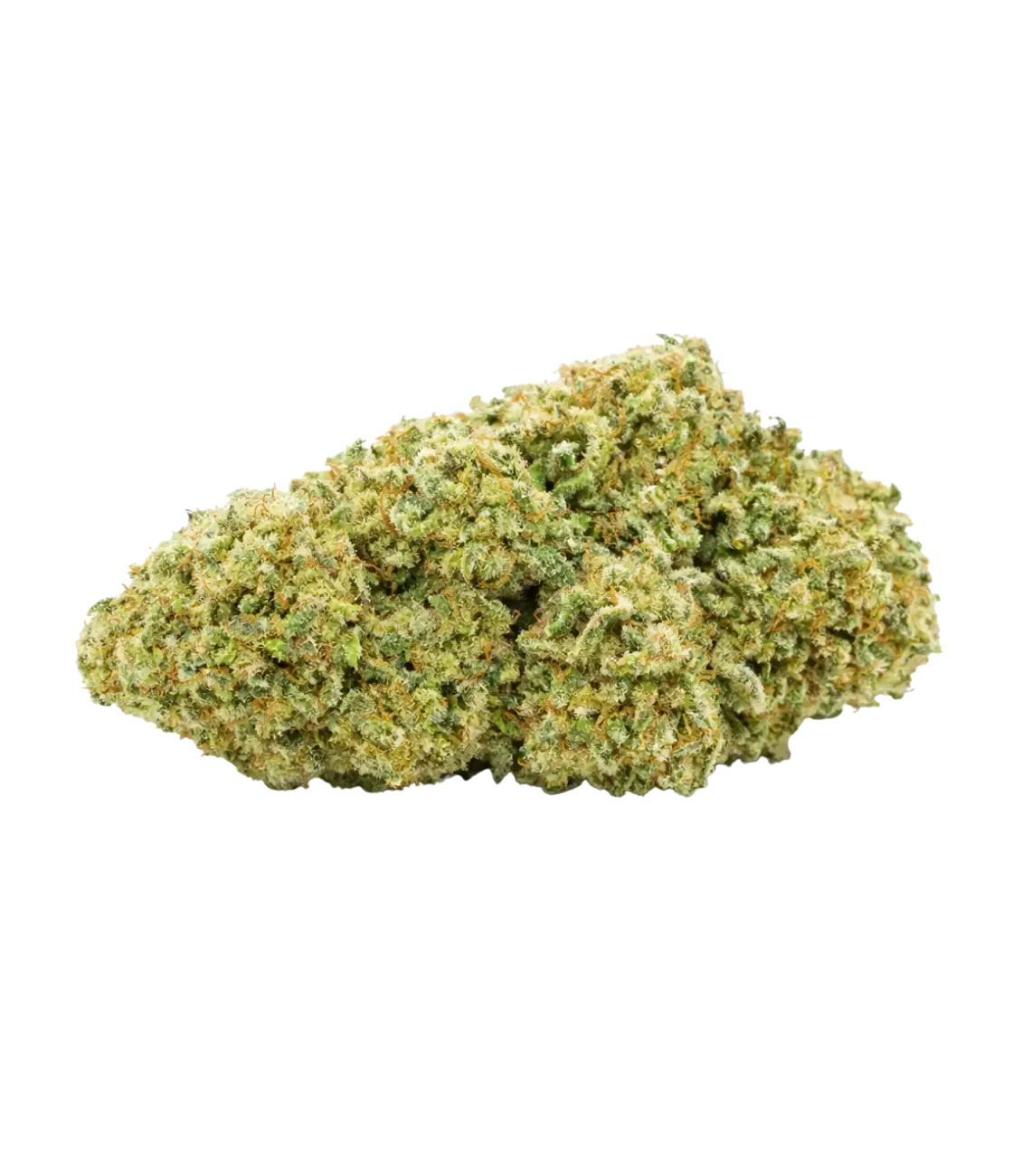 Bruce Banner đȘ đȘ đȘÂ MAGIC FLOWER
