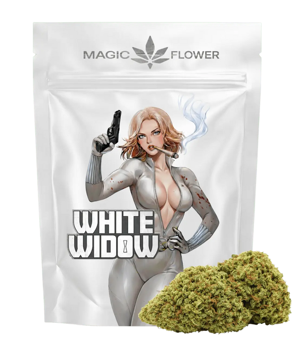 White Widow đ°đŒ đ°đŒ đ°đŒ