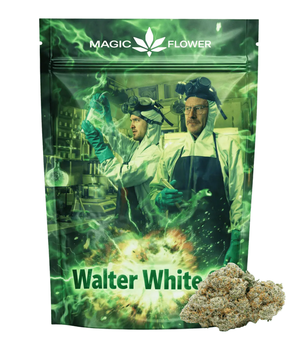 Walter White OG ⚗️ ⚗️ ⚗️