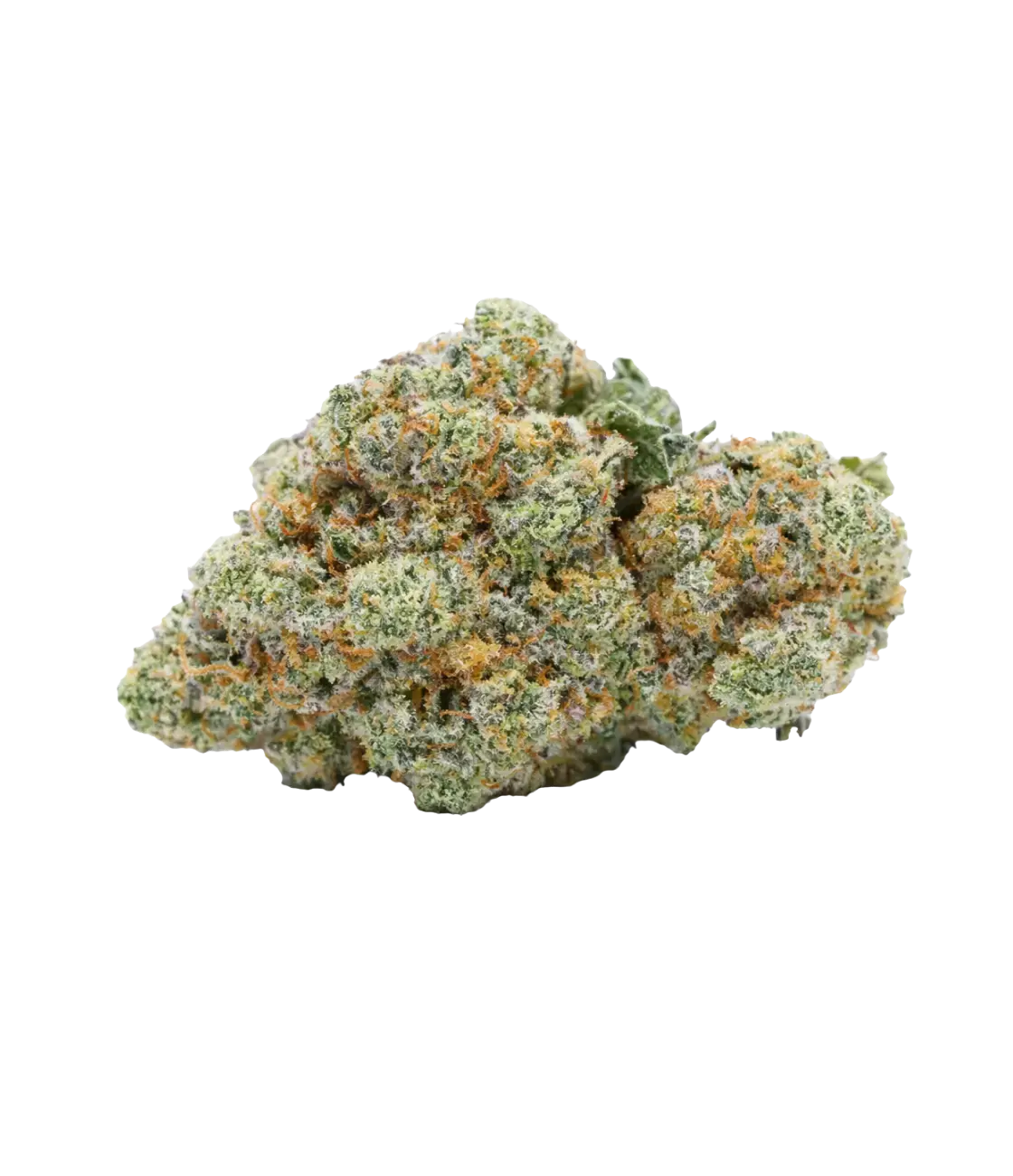 Walter White OG âïž âïž âïžÂ MAGIC FLOWER