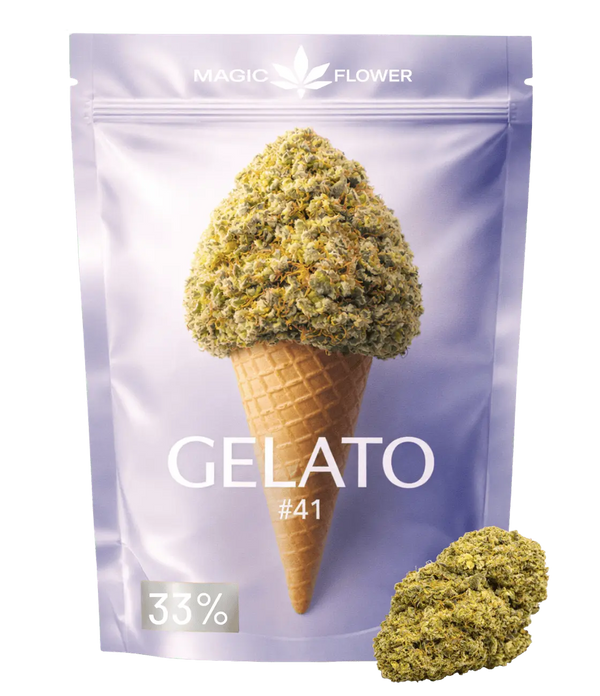 Gelato 41 đš đš đš