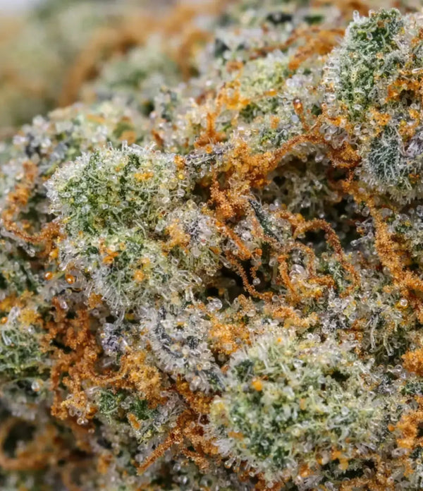 Walter White OG ⚗️ ⚗️ ⚗️