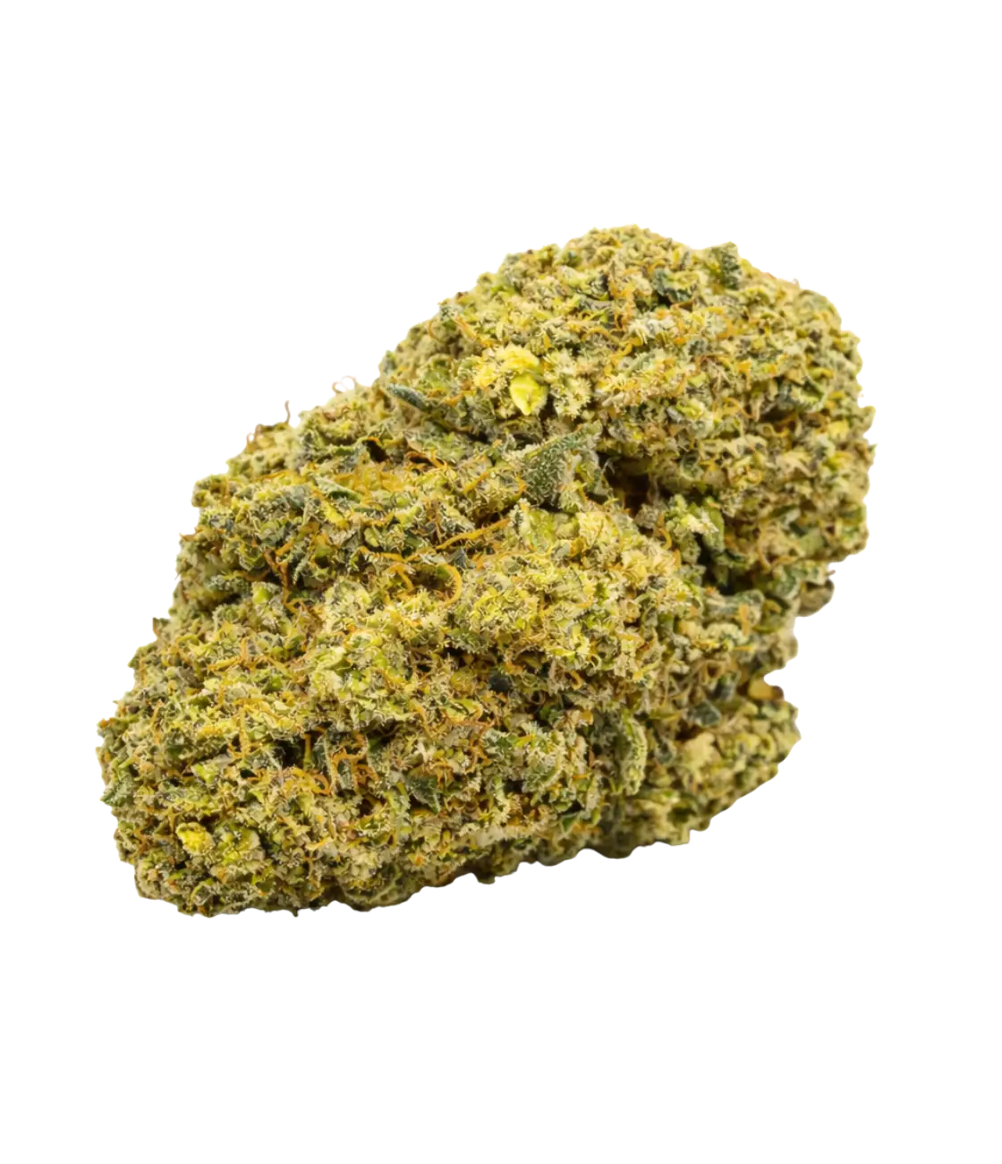 Gelato 41 🍨 🍨 🍨