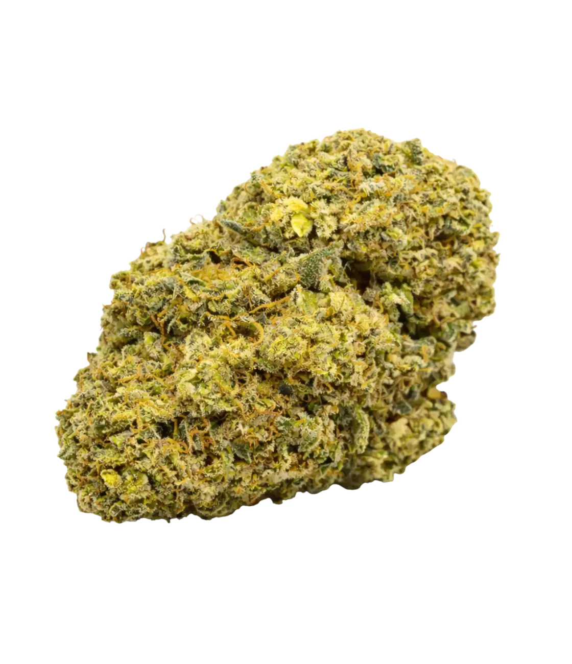 Gelato 41 đš đš đšÂ MAGIC FLOWER
