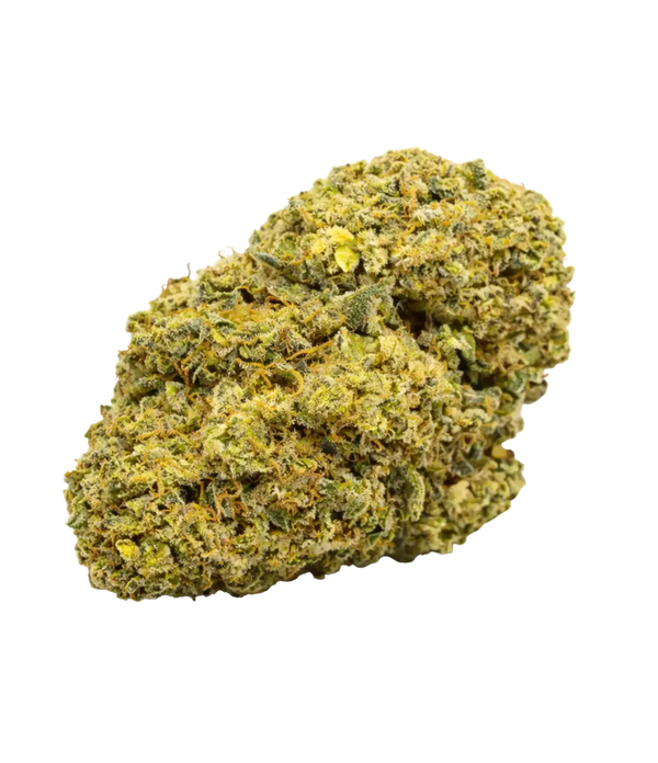Gelato 41 đš đš đš