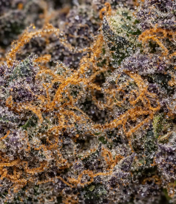 Bubba Kush đž đž đž
