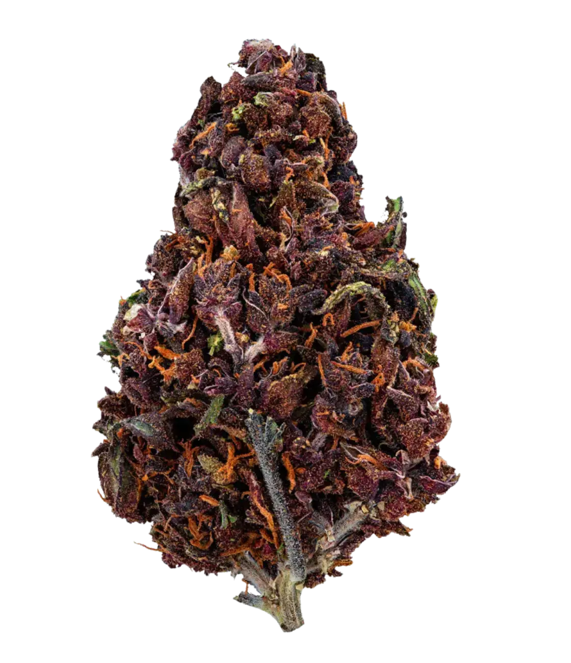 Purple Haze đ đ đ MAGIC FLOWER