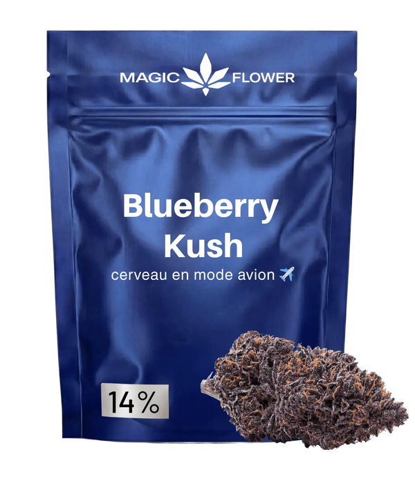 Blueberry Kush đ« đ« đ«