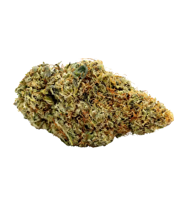 Mango Kush đ„ đ„ đ„
