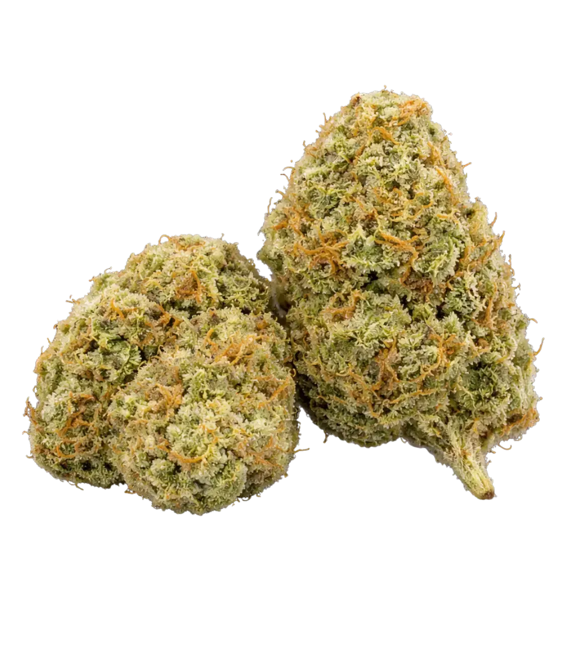 Auto Skunk US 𩹠𩹠đŠšÂ MAGIC FLOWER