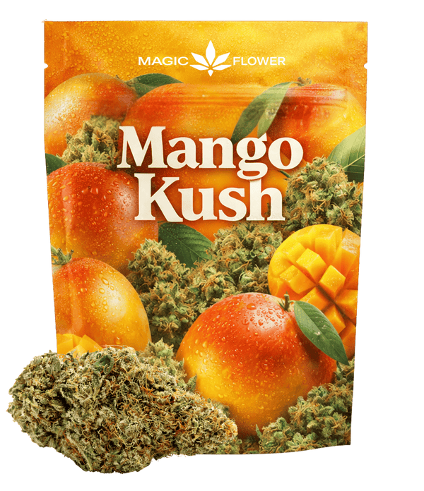 Mango Kush 🥭 🥭 🥭