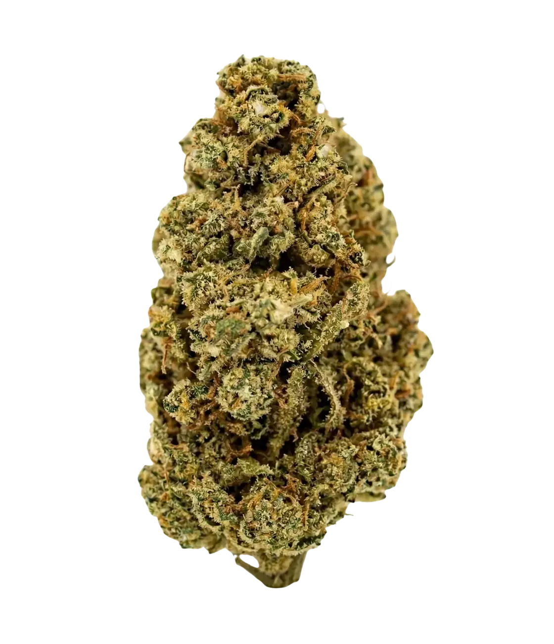 Strawberry Banana đđ MAGIC FLOWER