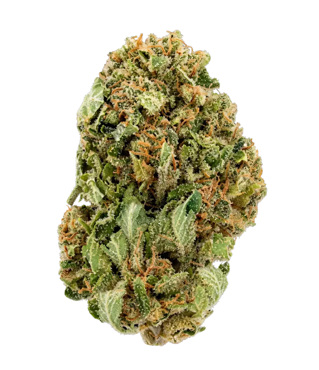 Cannatonic đ€ đ€ đ€  MAGIC FLOWER