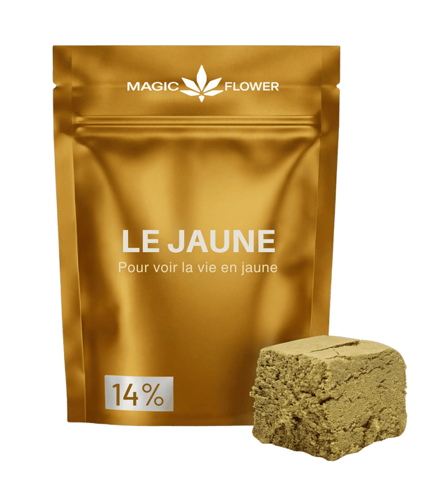 Le Jaune 🌞 🌞 🌞