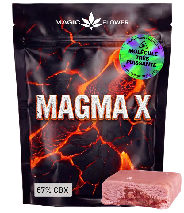 Magma X 🔥 🔥 🔥