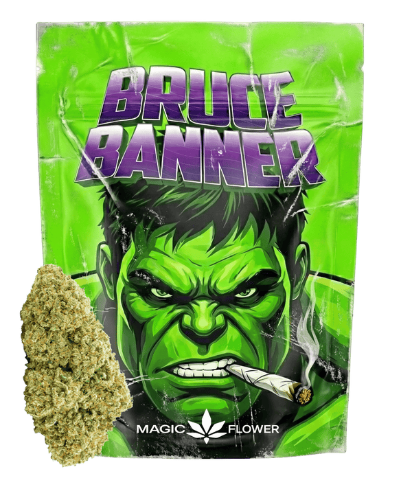 Bruce Banner 💪 💪 💪