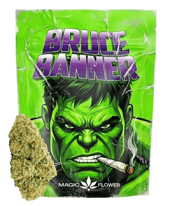 Bruce Banner đȘ đȘ đȘ