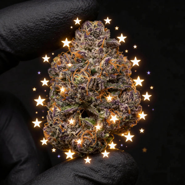 Fleurs Puissantes 🔥