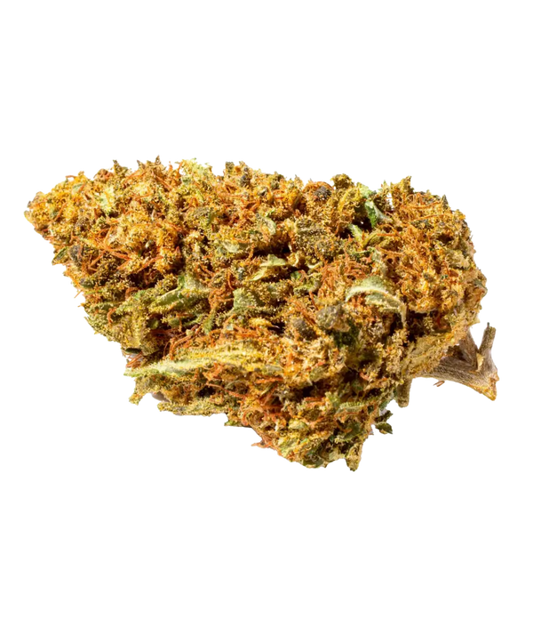 Orange Bud 🍊🍊🍊