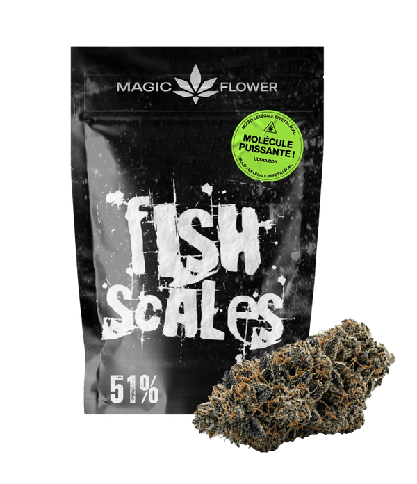 Fish Scales 🐟 🐟 🐟