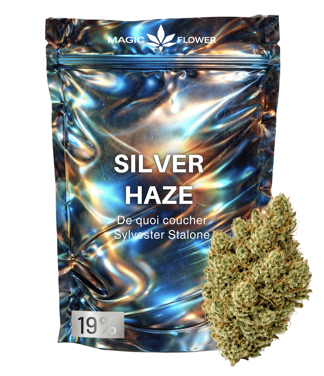 Super Silver Haze ⛓️⛓️⛓️