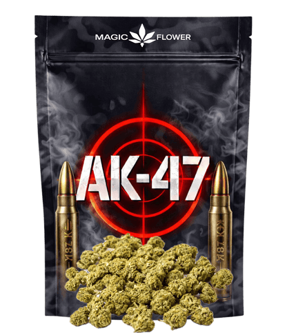 AK-47 🔫 🔫 🔫