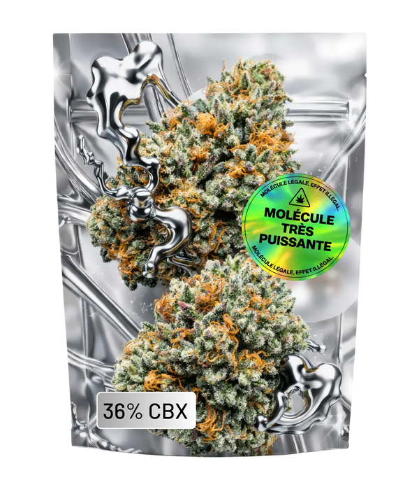 Amnesia CBX ⚡ ⚡ ⚡