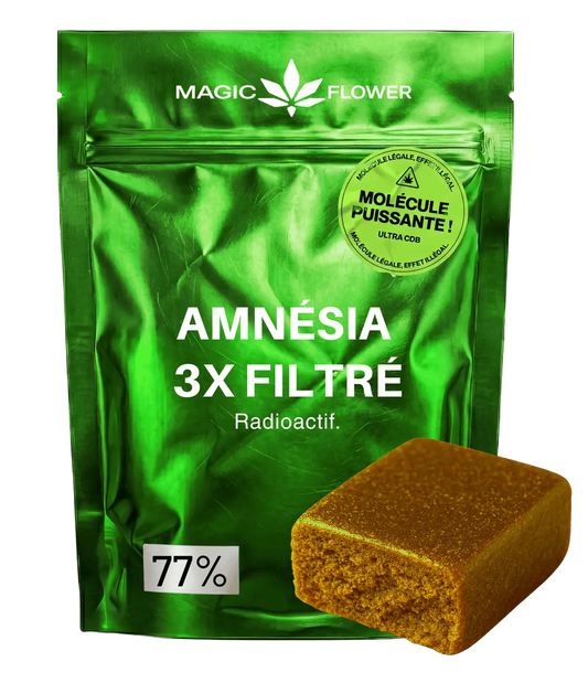 Amnesia X3 Filtrée ⚠️ ⚠️ ⚠️  MAGIC FLOWER