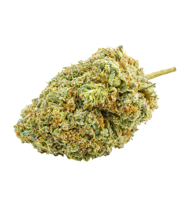 Blue Cheese 💙 💙 💙